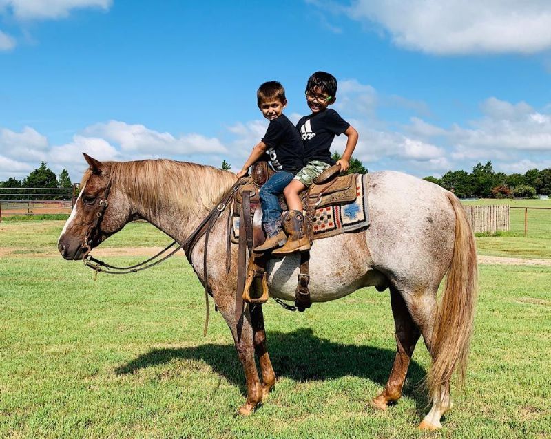 Andy red roan Quarter Horse gelding on ranch