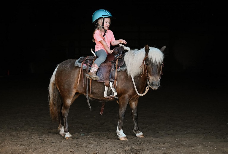 Ashanti grulla pony mare for kids