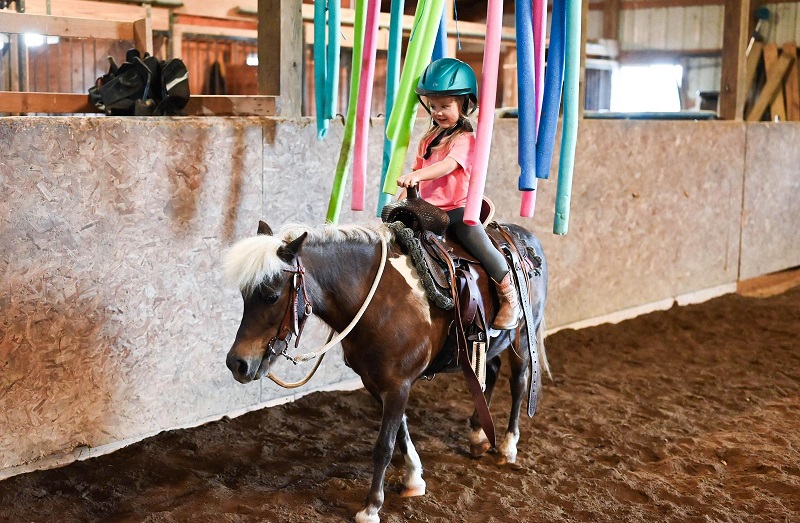 Ashanti grulla pony mare for kids