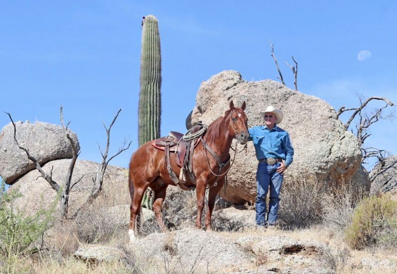 Cupid sorrel Quarter Horse gelding