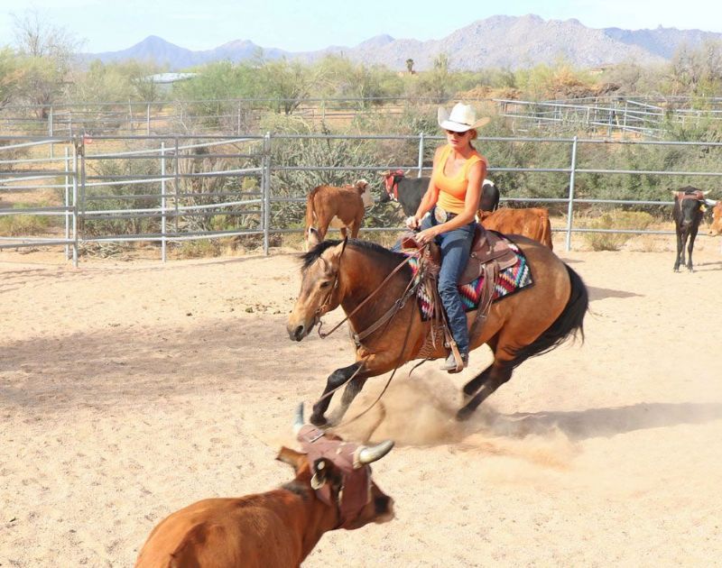 Danny buckskin Quarter Horse gelding