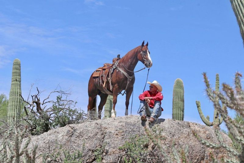 Dusty sorrel Quarter Horse gelding