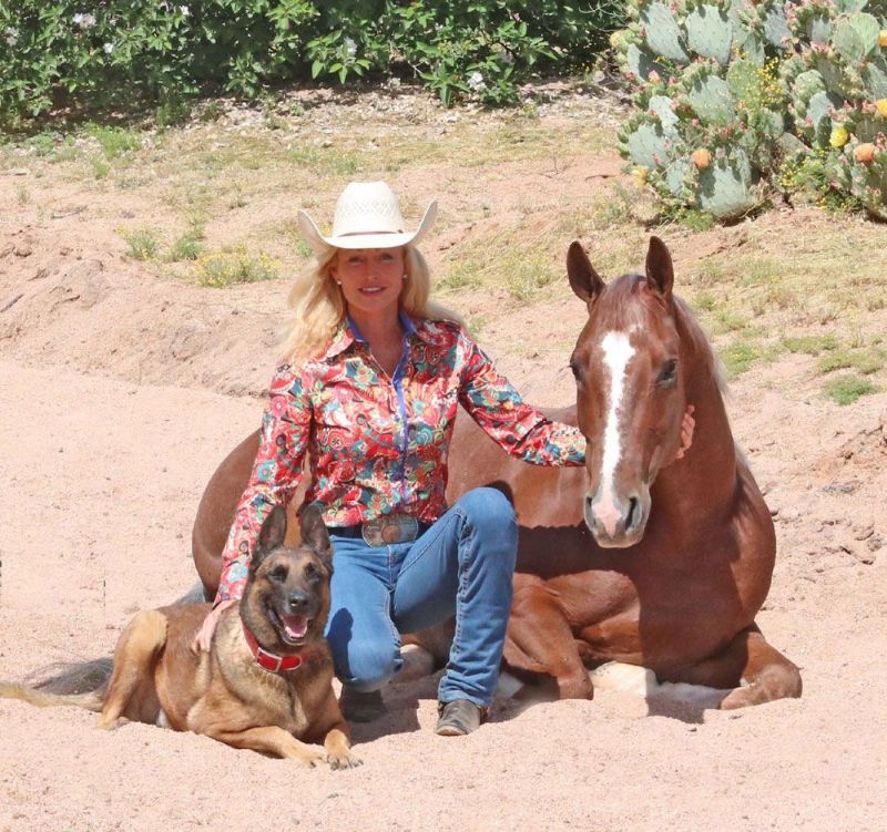 George red roan Quarter Horse gelding