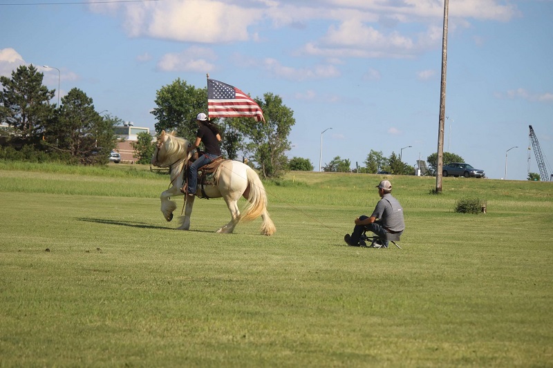 Gold champagne tobiano Gypsy Vanner gelding