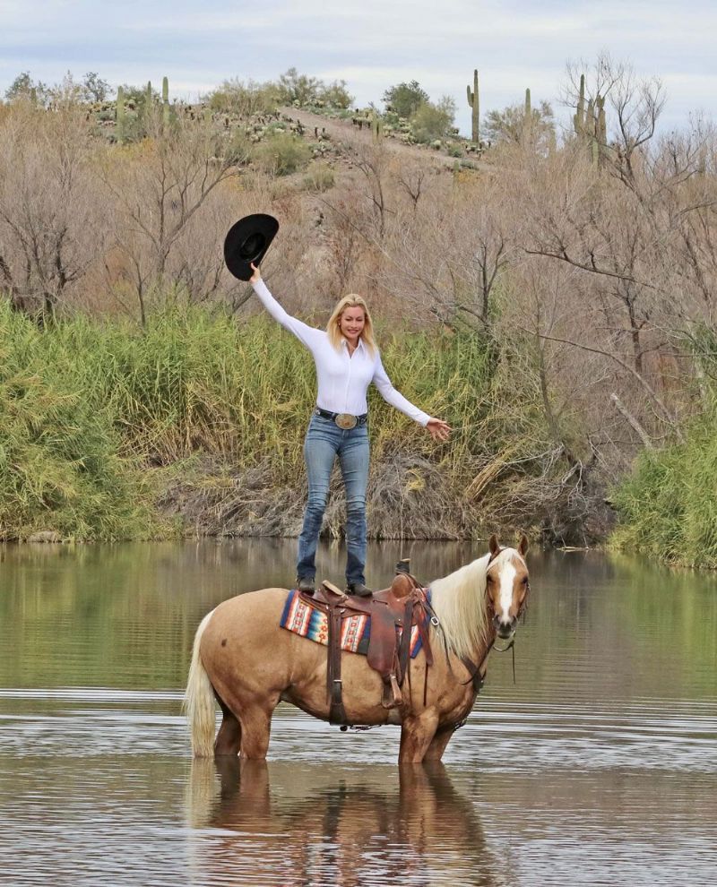 Jimmy palomino Quarter Horse gelding
