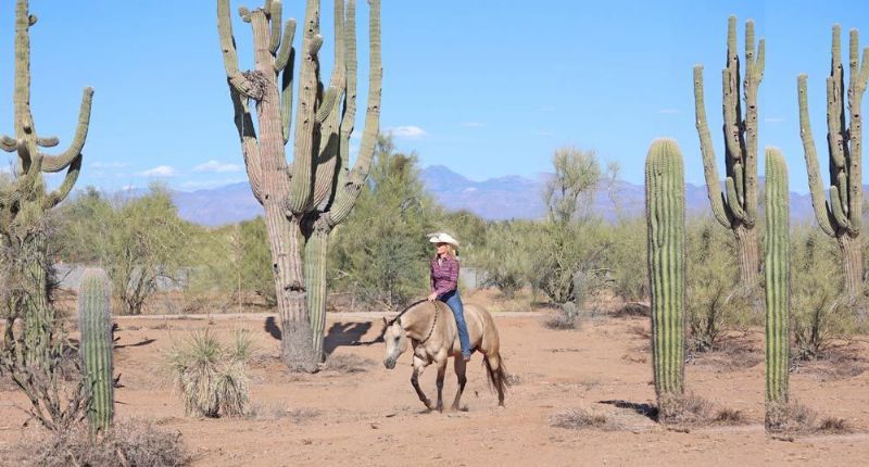 Mariah buttermilk buckskin Quarter Horse mare