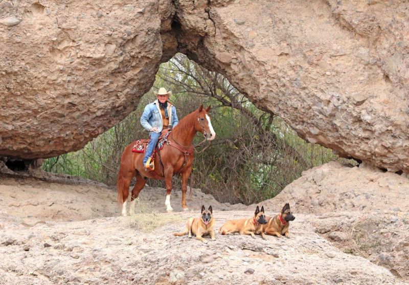 Patrick sorrel Quarter Horse gelding