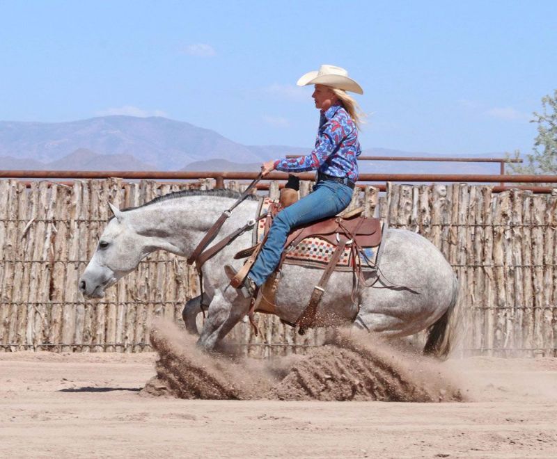 Ramos dappled gray Quarter Horse gelding