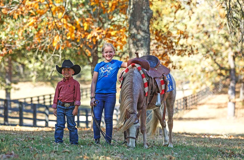 Roswell red roan pony gelding