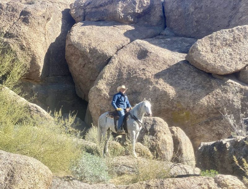 Sheriff gray Quarter Horse gelding